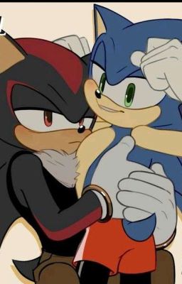 Новый участник