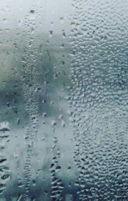 Жизнь своими глазами