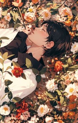 Селаме: чемпионы любви