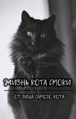 Жизнь кота Смоки