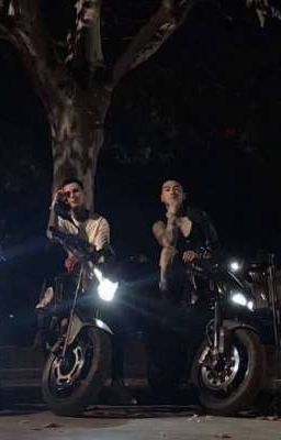 Враги   в университете [Дмитрий Матвеев ]