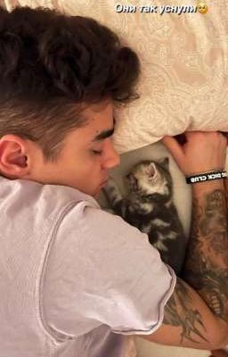 Это были лучшие 3 недели... (Димиль)