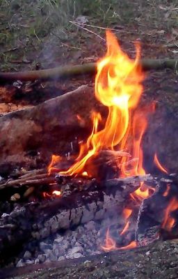 Тайны вампиров