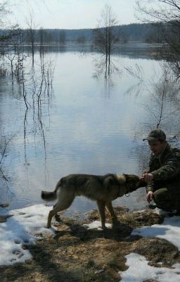 Моя (Чужая) Жизнь