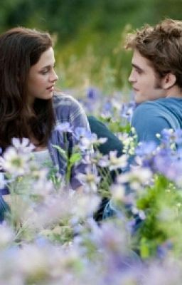 Сумерки. Сага. Восход луны