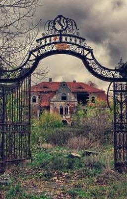 Тени старой школы