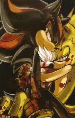 ПРОБЛЕМА ШЕДА