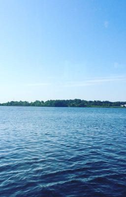 Легкая жизнь 