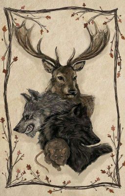 Билет в счастливую жизнь