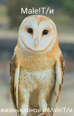 жизнь клонов и Male!Т/и