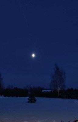 Жизнь Персонажей 