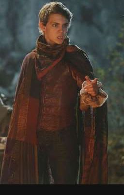 4 друга из приюта в Нетландии