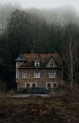 It's a strange place