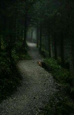 Нездоровая любовь