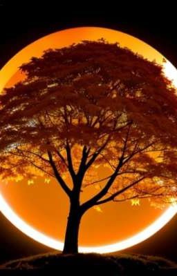 Их первое затмение 