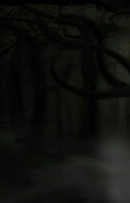 Посиделки У Костра