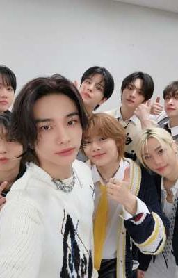 реакции stray kids и Т/и (1)