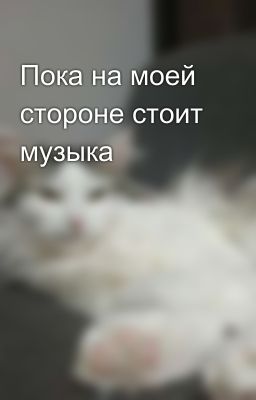 Пока на моей стороне стоит музыка