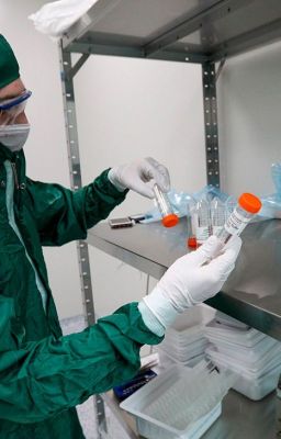 Вирус любви