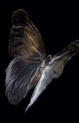  книги которые стоит почитать