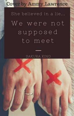 Мы не должны были встретиться