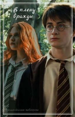Гарри Поттер "В плену вражды"