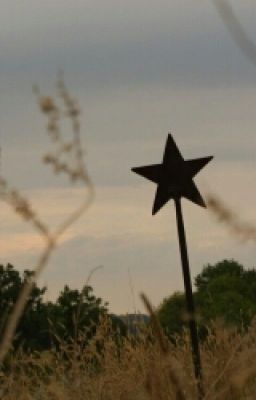 Сердце подскажет.