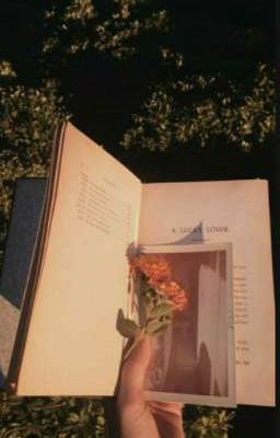 Для Фанфиков