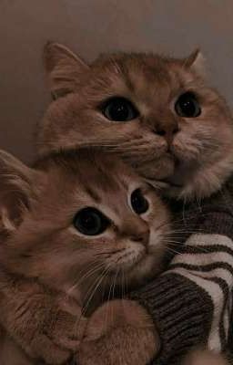 рассказики ✌