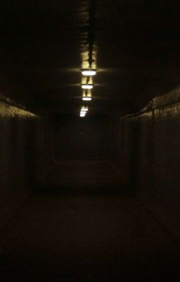 Без названия