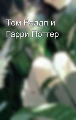 Том Реддл и Гарри Поттер 