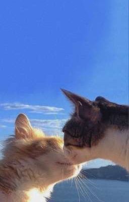 пасмурное солнцестояние 