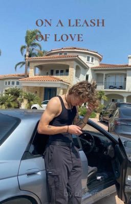 На поводе любви