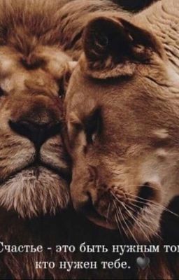 Кабардинка для Альфы.