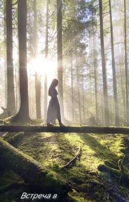 Встреча в Запретном лесу