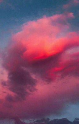 Жизнь и Приключения НАСТЕЙШИ