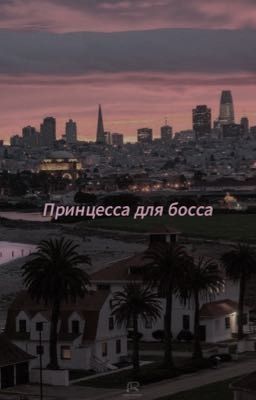 Принцесса для босса 