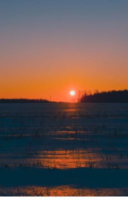 История Без Названия