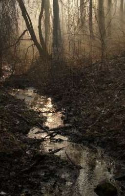 Я любил её, а она меня