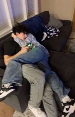 сводные братья