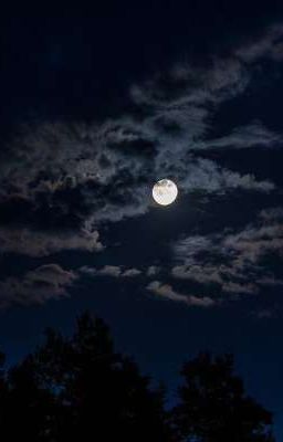 Ночное небо 