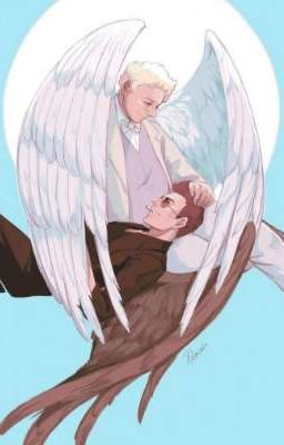 °Новая жизнь двух "лучших" друзей.°