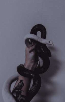 Случайности не случайны