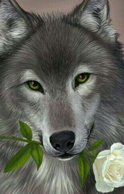 Жизнь изменчива