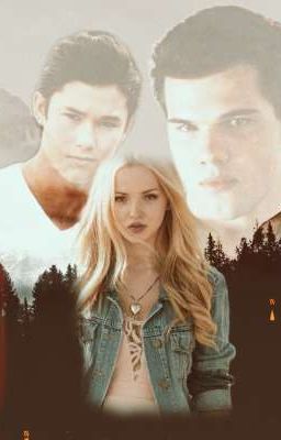 Удивительное рядом