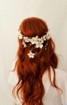 Погоня за счастьем