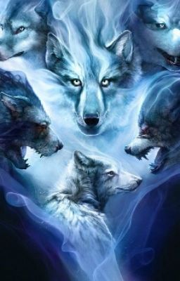 Стая:Носитель жизни