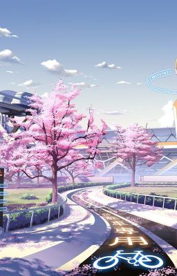 Когда отцветает сакура