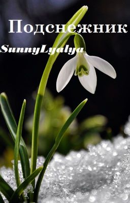 Подснежник