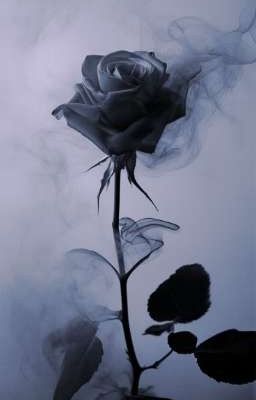 The Dark Rose